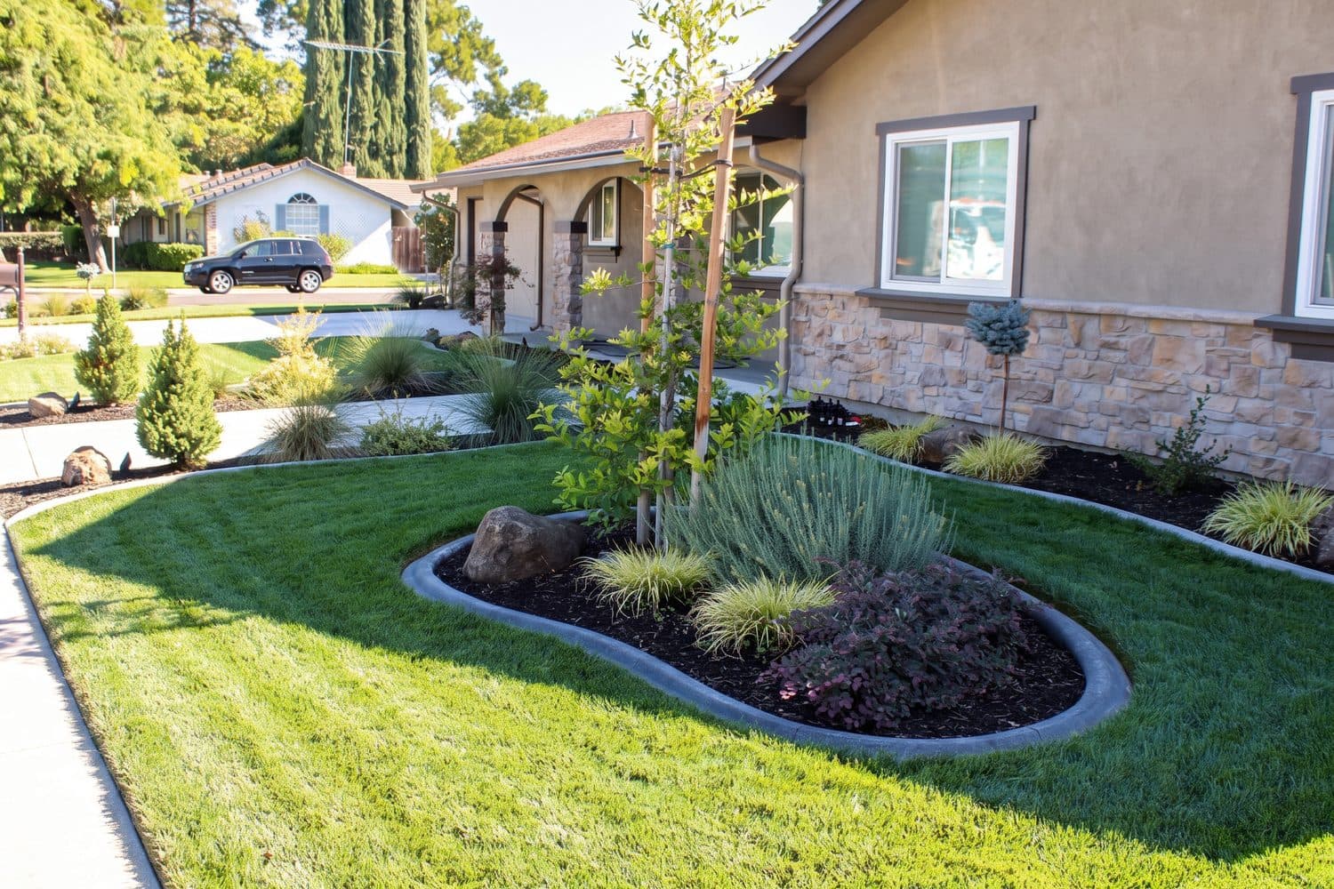 Island planting bed with concrete curbing, a boulder and grasses set in a freshly sodded front lawn